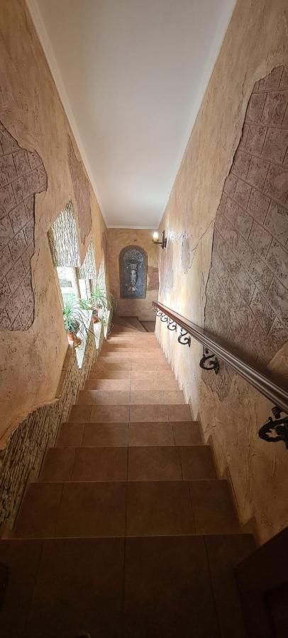 Villa Turistica Oasis Cahul Εξωτερικό φωτογραφία
